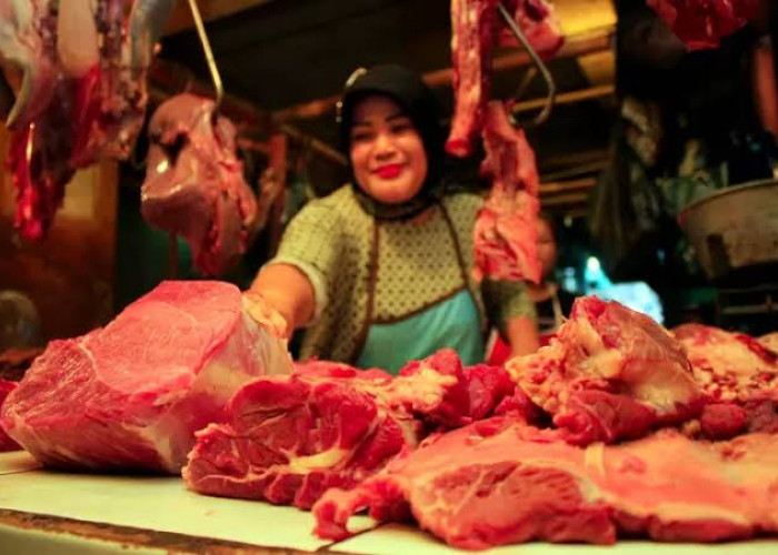 Pembentukan Payung Hukum Wajib Halal Bagi Pedagang Daging di Mukomuko 