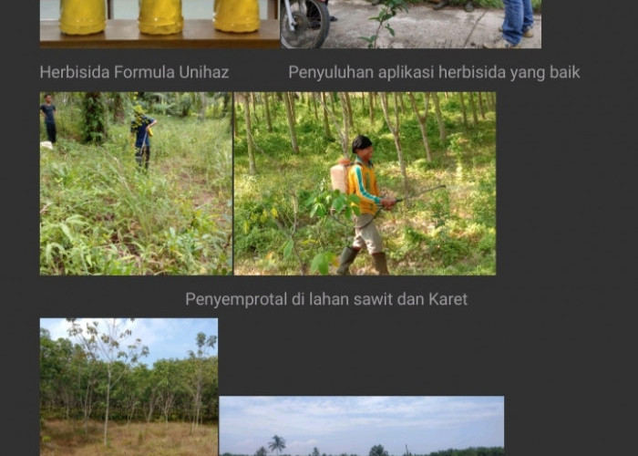 Pengalihan Penggunaan Herbisida Sintetik Dengan Bioherbisida Formulasi Unihaz di Kelompok Tani Tunas Harapan