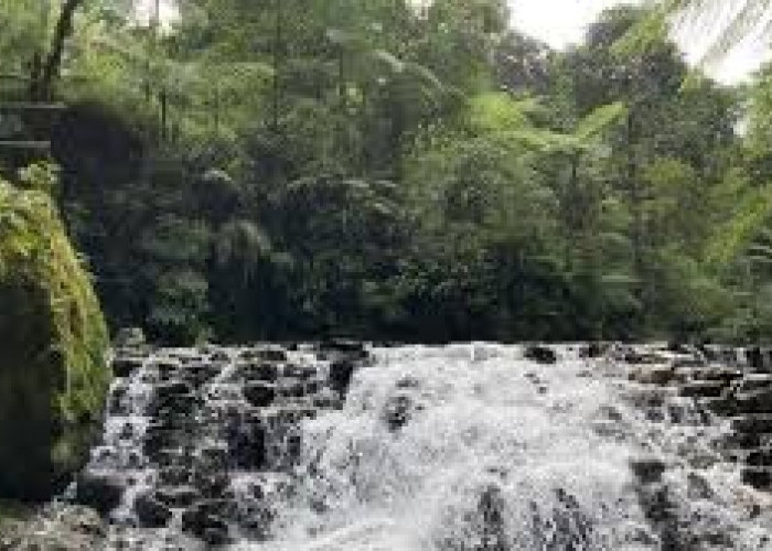 Curug Satu Duit, Bekas Lokasi Sampah Kini Jadi Tempat Wisata Baru di Bogor yang Banyak Dikunjungi Wisatawan