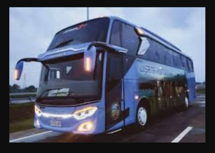 Info Lengkap Bus Wisata Komodo: Rute, Harga Tiket Dan Fasilitas Wahana