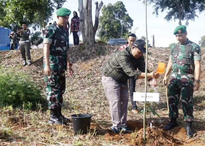 Bupati Erwin Oktavian Canangkan Gerakan Menanam Pohon Produktif di Lahan Kosong 