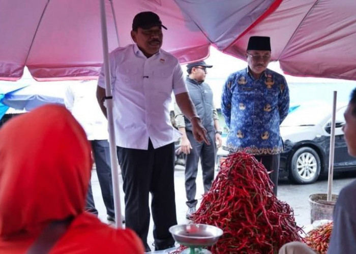 Sidak di Pasar Panorama, Wagub Mian Temukan Ada Kenaikan   Harga Bahan Pokok