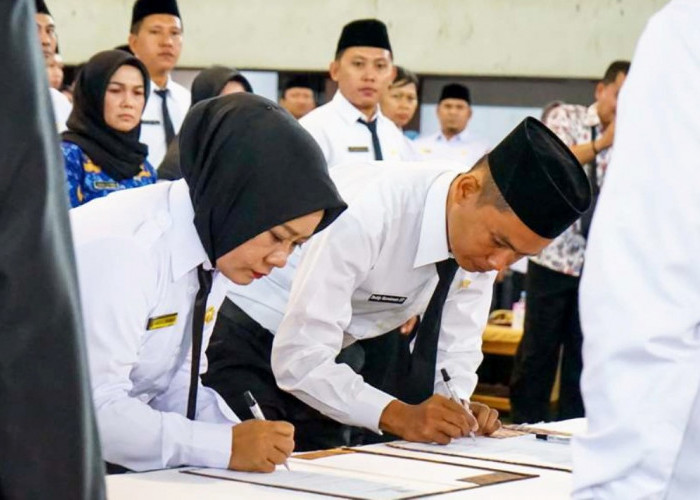  Kabar Baik, Pemprov Bengkulu Buka Pendaftaran PPPK Tahap 2 Tanggal 17 November Hingga Desember 2024