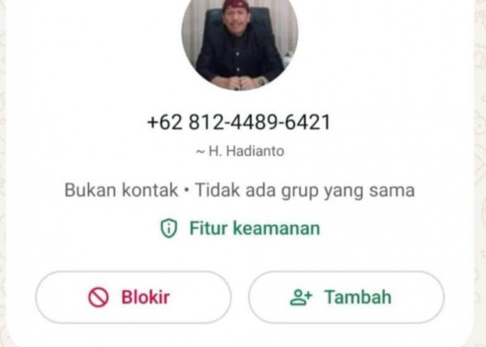 Hati-Hati Aksi Penipuan, WA Palsu Catut Nama Sekda Seluma