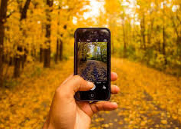 14 Cara Menggunakan Kamera Ponsel Secara Maksimal, Tips Fotografi Profesional dengan Kamera Smartphone