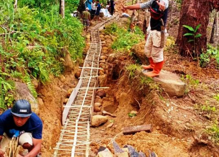 Bambu Sebagai Pengganti Besi Beton, Bangunan Kuat Tahan Gempa, Ini Buktinya 