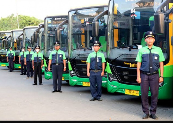 Terbaru! Jadwal dan Rute Bus Trans Jatim Tahun 2024
