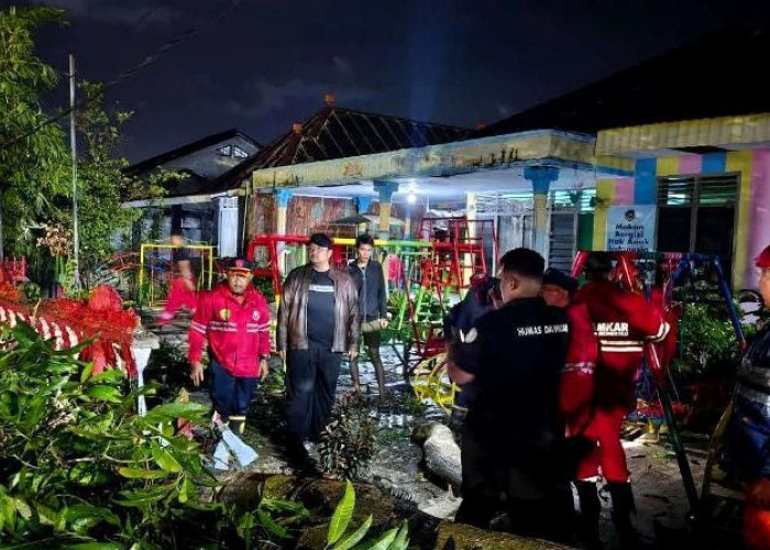  Cuaca Ekstrem, Wakil Walikota Bengkulu Pantau Proses Evakuasi Pohon Tumbang