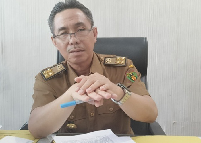 Fokus Untuk Pembinaan, Pemkab Bengkulu Selatan  Tidak Lagi Merekrut Tenaga Honorer