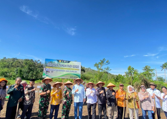  Kementerian Pertanian Lakukan Penanaman Padi Gogo di Kecamatan Taba Penanjung
