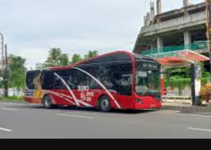 Rute Bus Suroboyo dan Jadwal Keberangkatan Terkini dan Lengkap 