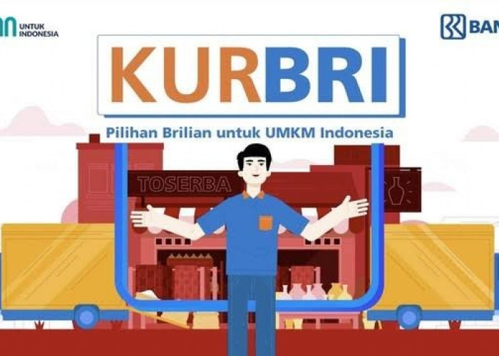 Dapatkan KUR BRI Untuk UMKM Mulai Rp 25 Juta - Rp 500 Juta dengan Suku Bunga Rendah