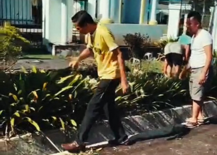 Sambut Hari Raya, Bupati Gusril Bersih-Bersih Lingkungan Rumah Dinas 