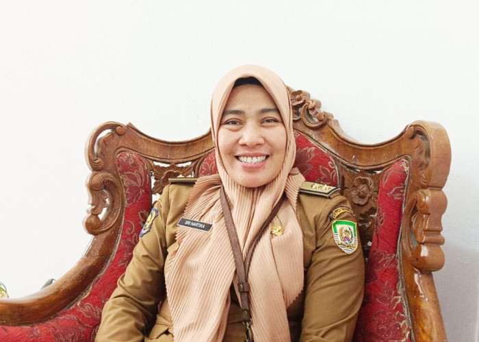 PPPK Tahap Pertama Provinsi Bengkulu Ada 3.499 Pelamar Selesaikan Proses Pendaftaran