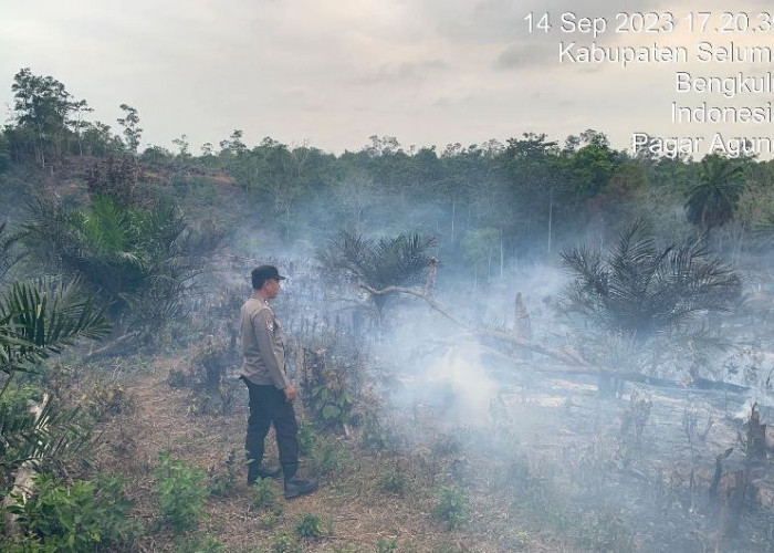 Damkar Seluma Kesulitan Padamkan Api,   3 Hektar Lahan Kebun Sawit di Pagar Agung Terbakar