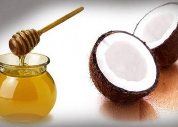 khasiat minyak kelapa dicampur dengan madu untuk kesehatan, cocok banget untuk pencernaan