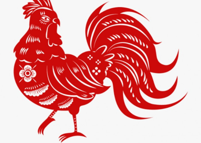 Ramalan Terkini Shio Ayam di Tahun 2024, Keberuntungan? Kaya Raya?