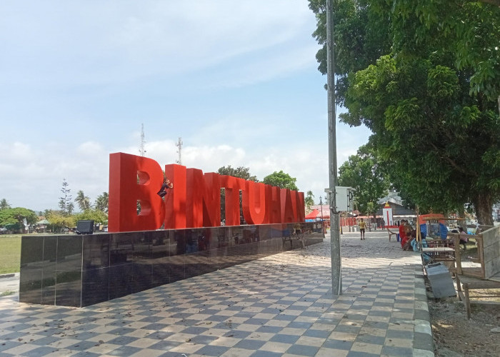 Sudah Rapi dan Indah, PKL di Taman Alun-Alun Lapangan Merdeka Kota Bintuhan Ditertibkan