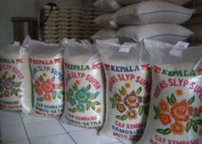 Harga Beras 50 Kg: Stok Hemat untuk Keluarga dan Usaha di Bulan Ini