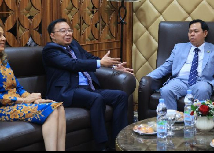 Peran Konstitusional DPD RI Diakui PBB Sangat Penting bagi Pembangunan dan Asta Cita 