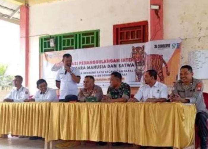 Lakukan Sosialisasi,  BKSDA Pasang Perangkap Harimau di Bengkulu Utara 