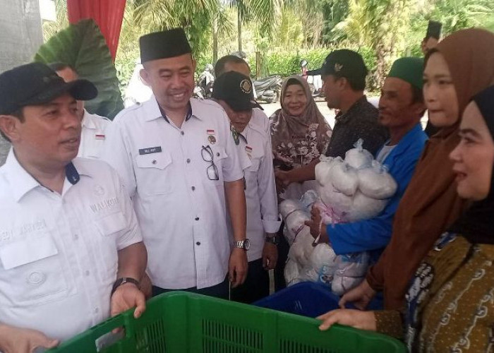 Walikota  Serahkan Bantuan Alat Tangkap dan  Pengolahan Hasil Perikanan ke Kelompok Nelayan