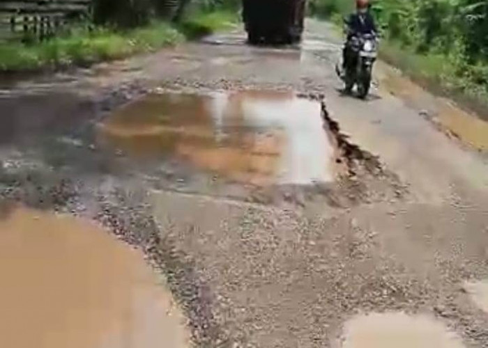 Ancam Keselamatan,  Warga Minta Perbaiki Jalan Provinsi Bengkulu  yang Rusak di Layang Lekat