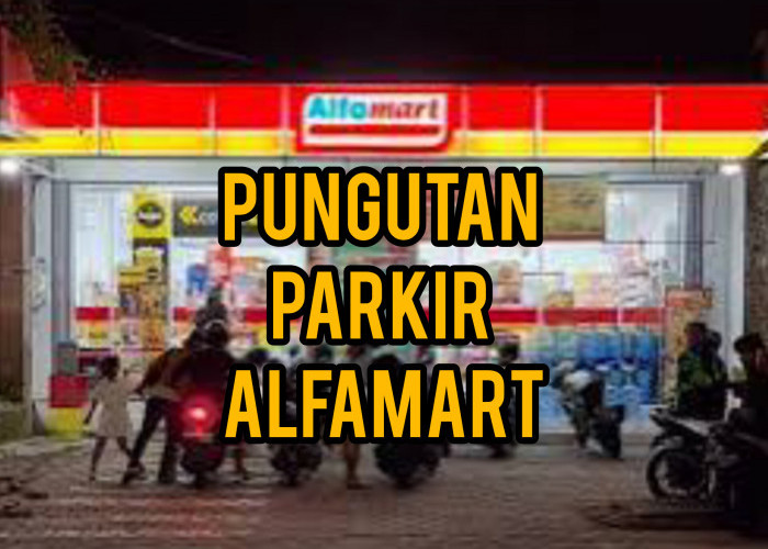 Katanya Gratis Tapi Faktanya 44 Gerai Alfamart di Bengkulu Ada Juru Parkir Pungut Retribusi, MoU Dilanggar?