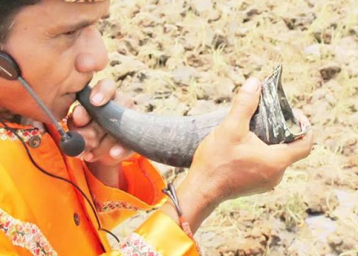 Melodi dari Alam: Mengenal Pupuik, Jiwa Instrumen Tiup Minangkabau