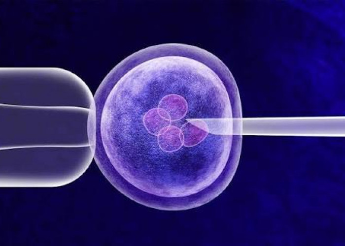 Germline Therapy: Harapan Baru atau Garis Merah Medis?