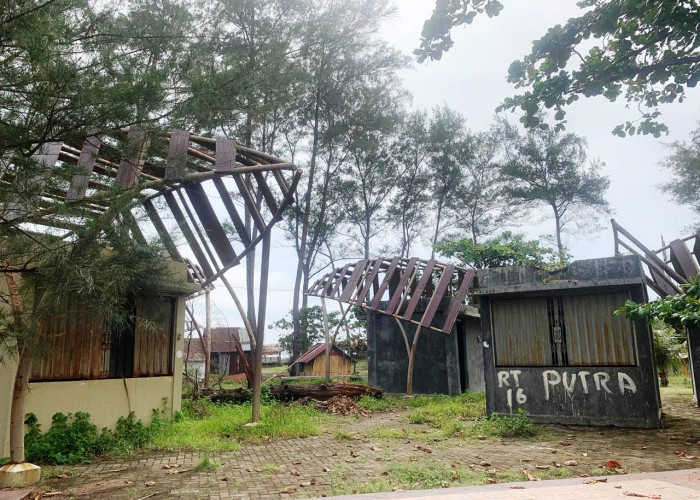 Rp 600 Juta Membangun 52 Auning di Pantai Pasir Putih Bengkulu, Tapi Kini Terbengkalai