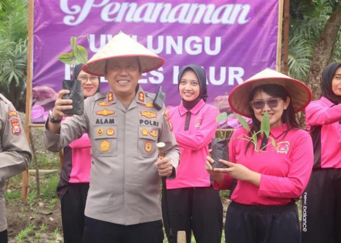 Jajaran Polres Kabupaten Kaur Tanam Bibit Uwi Ungu 