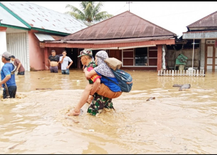 WALHI Perihatin Bencana Banjir kerap Melanda Provinsi Bengkulu, Ini Penyebabnya
