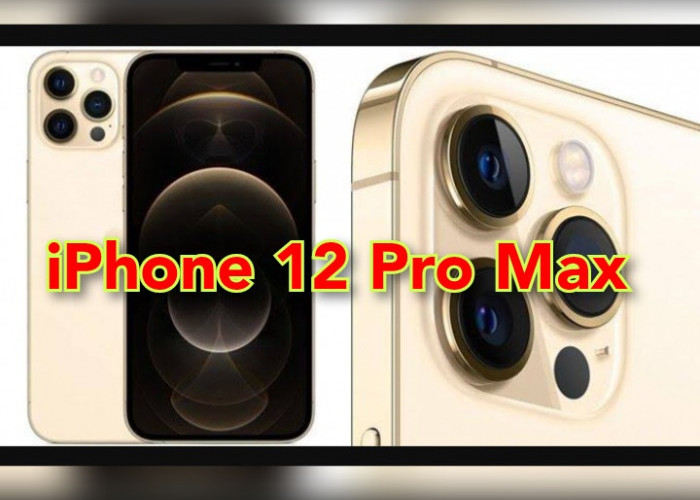 Harga iPhone 12 Pro Max Awal Februari 2024 Diturunkan hingga Rp 7 Jutaan