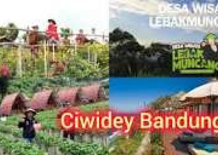 3 Tempat Wisata Yang Ada Di Ciwidey Bandung, Pilihan Tepat Liburan Bersama Keluarga