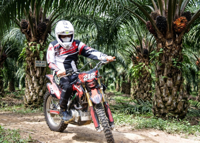 PT Agrinas Palm Nusantara: Mengakselerasi Nilai Strategis dan Produktivitas Aset Negara