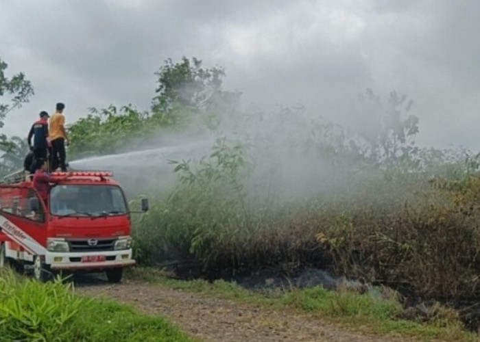  Warga Napal Seluma Dibuat Gempar Gara-Gara Sarang Lebah Terbakar