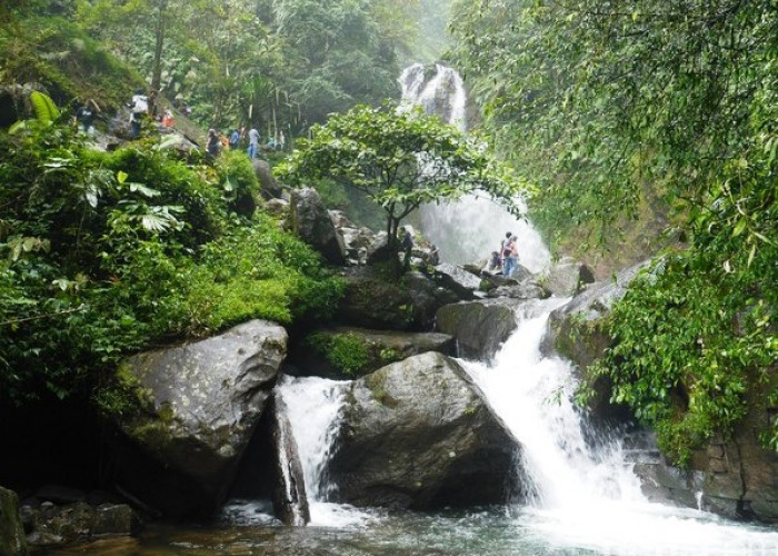 Jangan Bingung! Inilah 5 Tempat Wisata Air Terjun Alami di Bogor yang Bikin Betah dan Wajib Dikunjungi