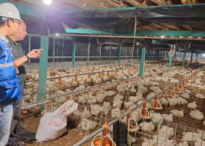 Jaga Daya Beli Masyarakat, Pemerintah Putuskan Tarif Listrik Triwulan II 2026 Tidak Naik