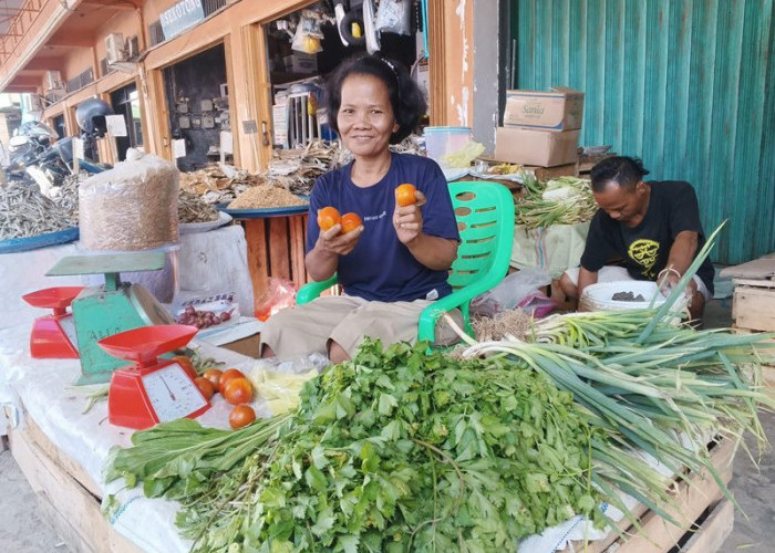 Inilah Harga Sayuran  di Pasar Panorama Bengkulu