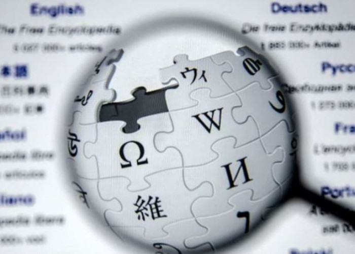   DPR RI  Minta Pemerintah Mempertimbangkan secara Matang Rencana Pemblokiran Wikipedia
