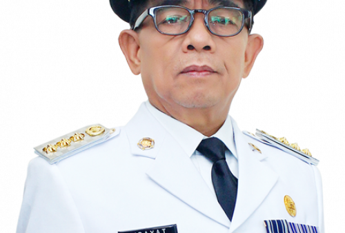 Sosialisasi Implementasi Perizinan   Libatkan 28 Pelaku Usaha di Kepahiang