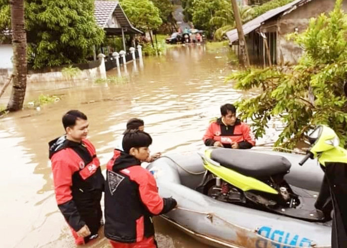 18 Kelurahan 5 Kecamatan di Kota Bengkulu Banjir, 10 Motor Terendam dan Pohon Tumbang