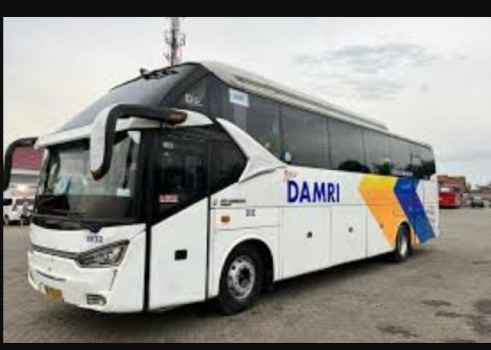 Dapatkan Promo Tiket Bus DAMRI dan Cek Jadwal Rute Keberangkatannya Disini