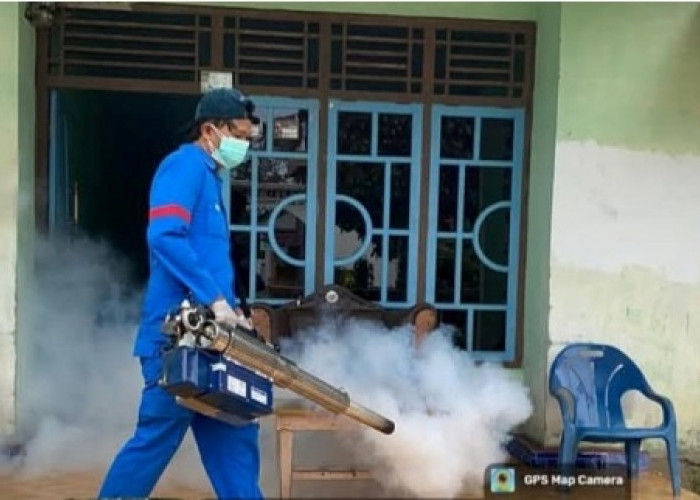 Mata Rantai Penyebaran Nyamuk  Aedes Aegypti Diputus Dinas Kesehatan