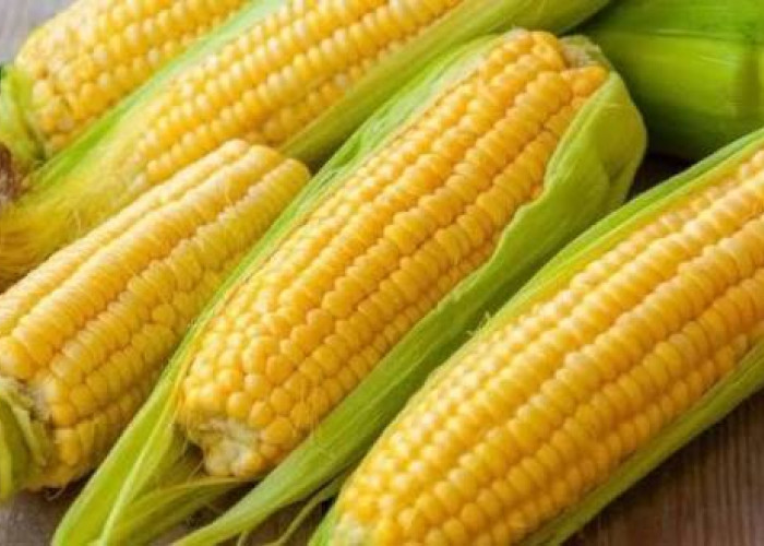 Manis dan banyak disukai, berikut ini 3 khasiat rutin konsumsi jagung manis bagi kesehatan tubuh