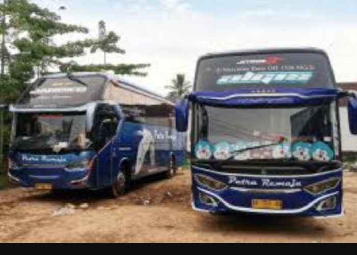 Update Harga Tiket Bus Solo Menuju Lampung, Catat Jadwal Berangkatnya 