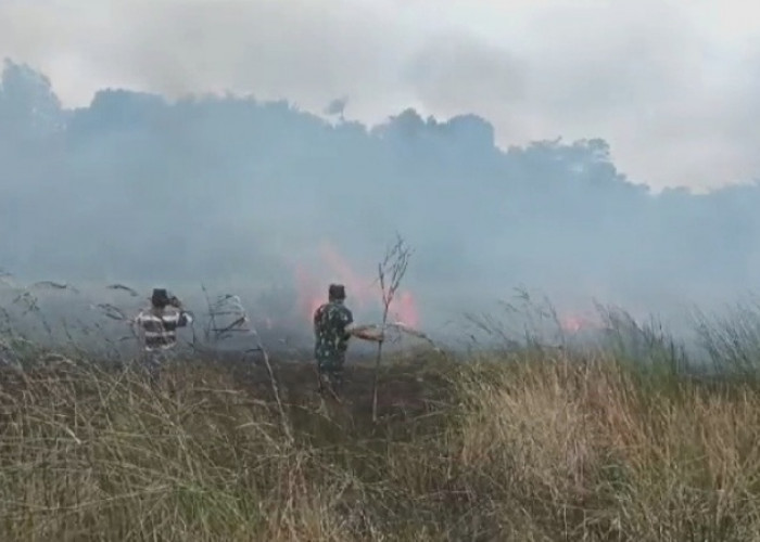 Heboh, 200 H Lahan Terbakar  di Pulau Enggano, TNI/Polri Turun Bersama Masyarakat Padamkan Api