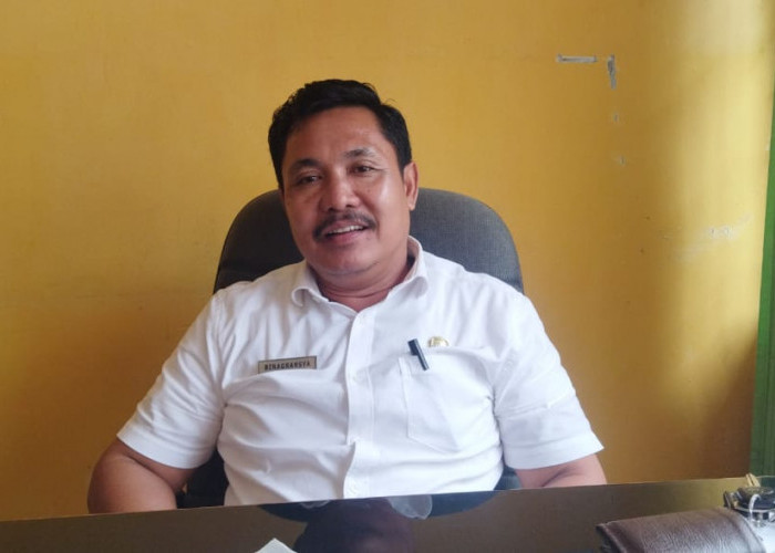 Bengkulu Selatan Dapat BLT UMKM  Rp  250 Juta