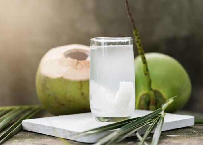 Minum Air Kelapa Hijau Membuat Ginjal Tetap Sehat